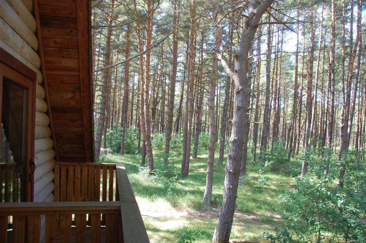 Edmundas Palanga Buitenkant foto